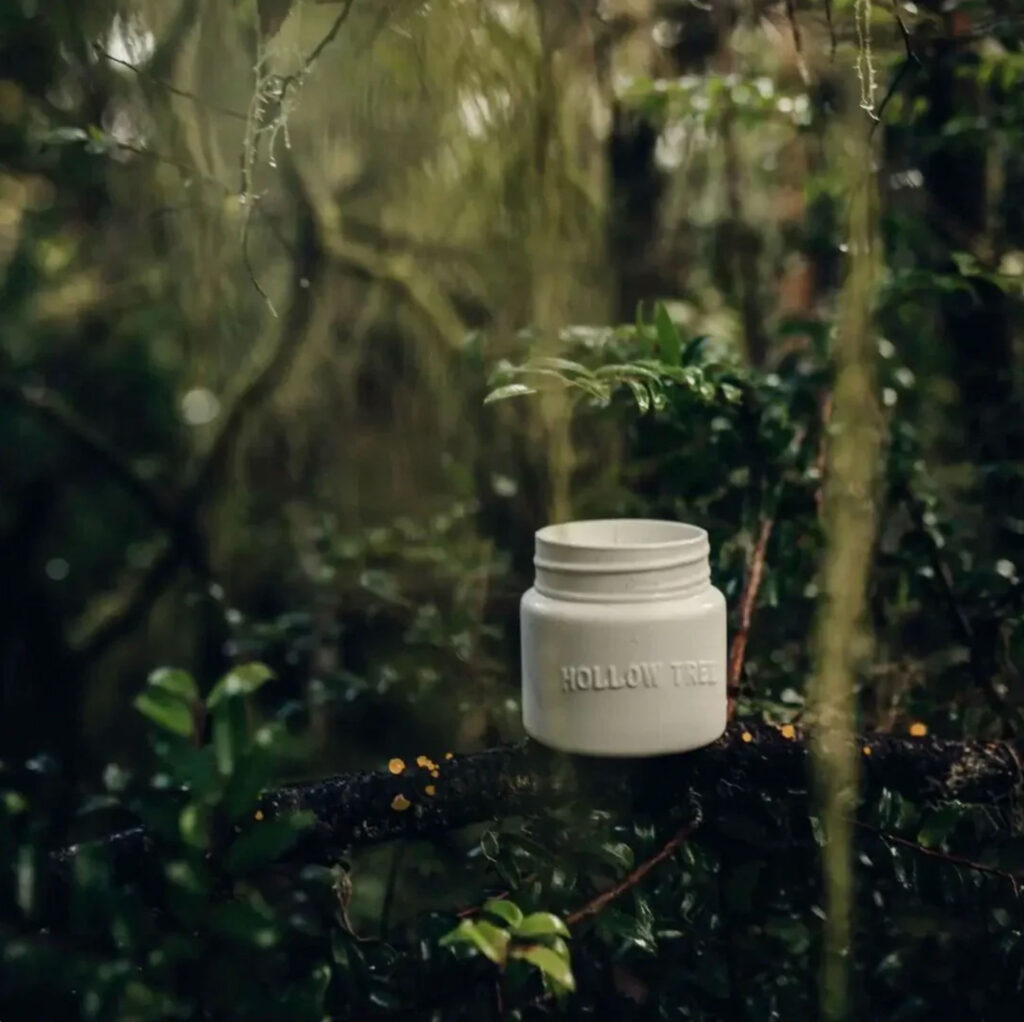 Hollow Tree Candle Co